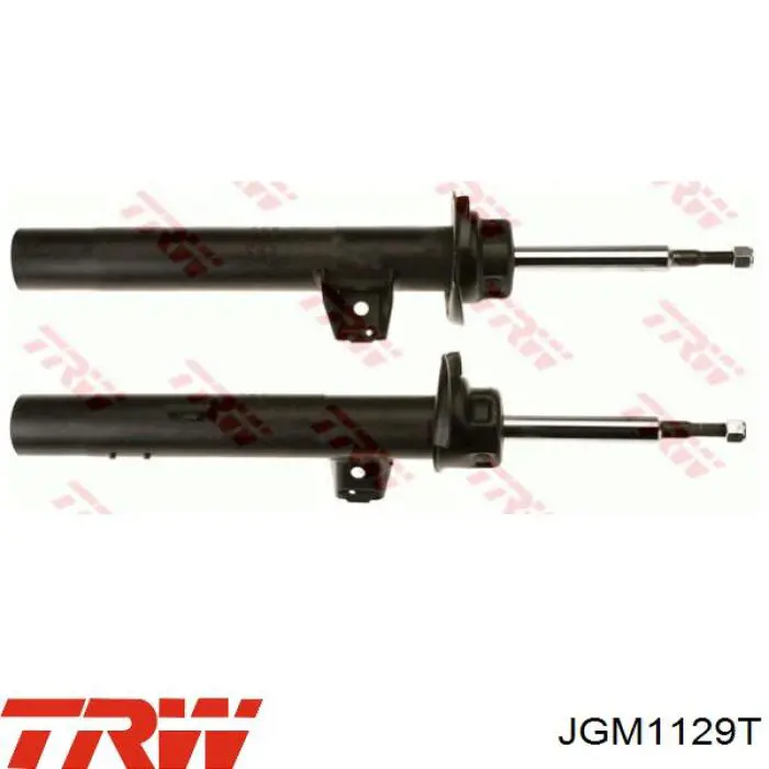JGM1129T TRW Amortecedor dianteiro direito