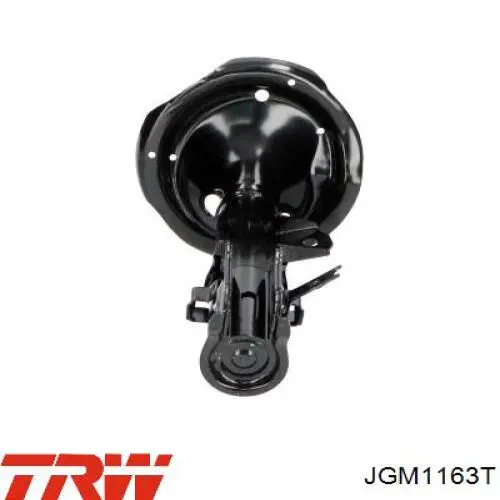 Compre JGM1163T TRW Amortecedor dianteiro direito