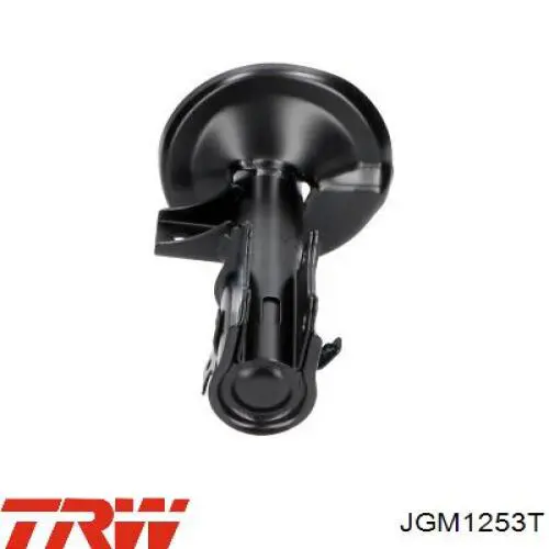 Compre JGM1253T TRW Amortecedor dianteiro direito