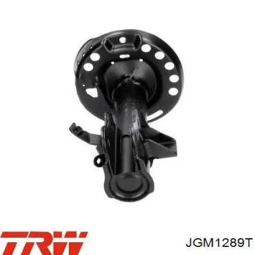 Compre JGM1289T TRW Amortecedor dianteiro direito