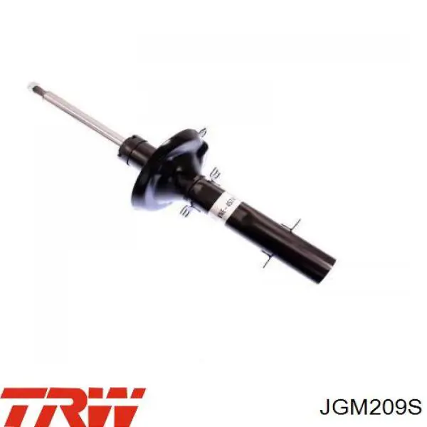 Compre JGM209S TRW Amortecedor dianteiro