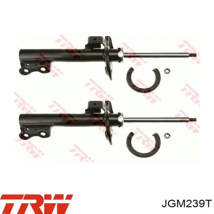 Compre JGM239T TRW Amortecedor dianteiro