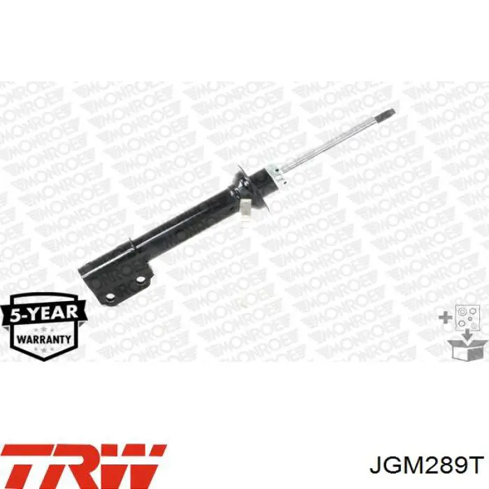 Compre JGM289T TRW Amortecedor dianteiro