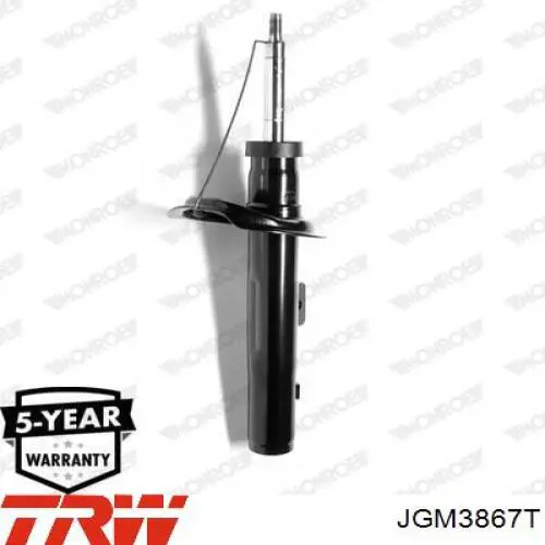 Compre JGM3867T TRW Amortecedor dianteiro