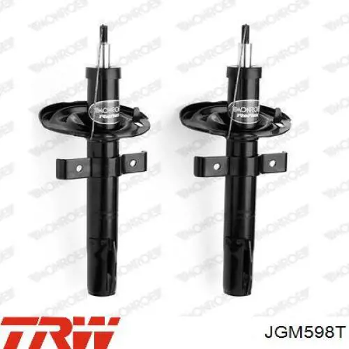 Compre JGM598T TRW Amortecedor dianteiro