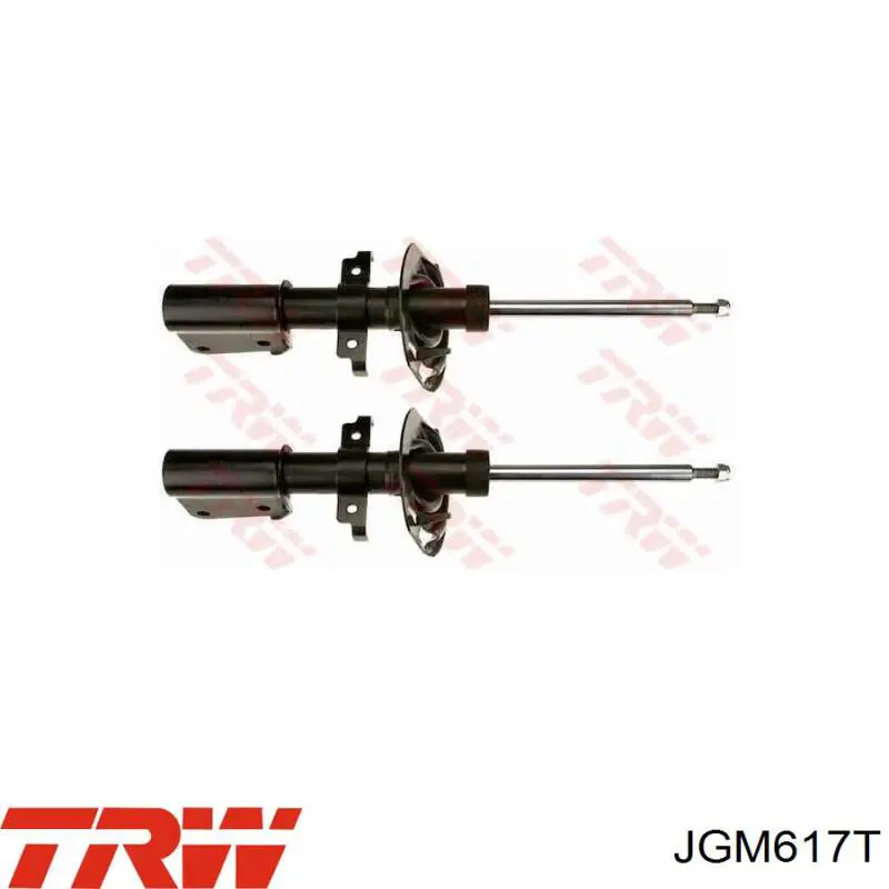 Compre JGM617T TRW Amortecedor dianteiro