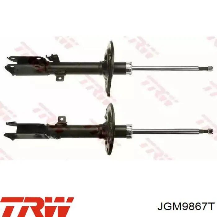 Amortecedor traseiro esquerdo TRW JGM9867T preço, a partir de 75,23 USD
