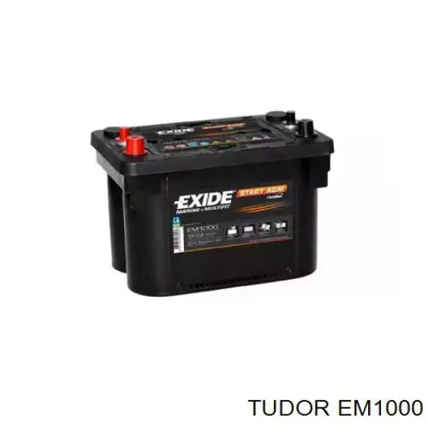 Compre EM1000 Tudor Bateria recarregável (PILHA)