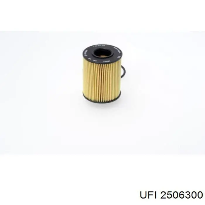 Filtro de óleo UFI 2506300 preço, a partir de 6,10 USD