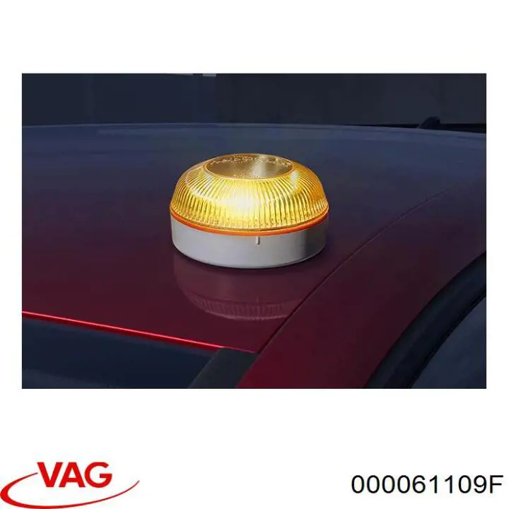  000061109F VAG