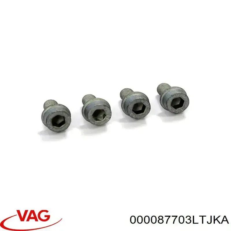 Compre 000087703LTJKA VAG Estojo para as chaves