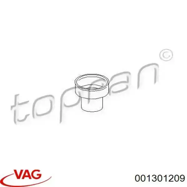 001301209 VAG 