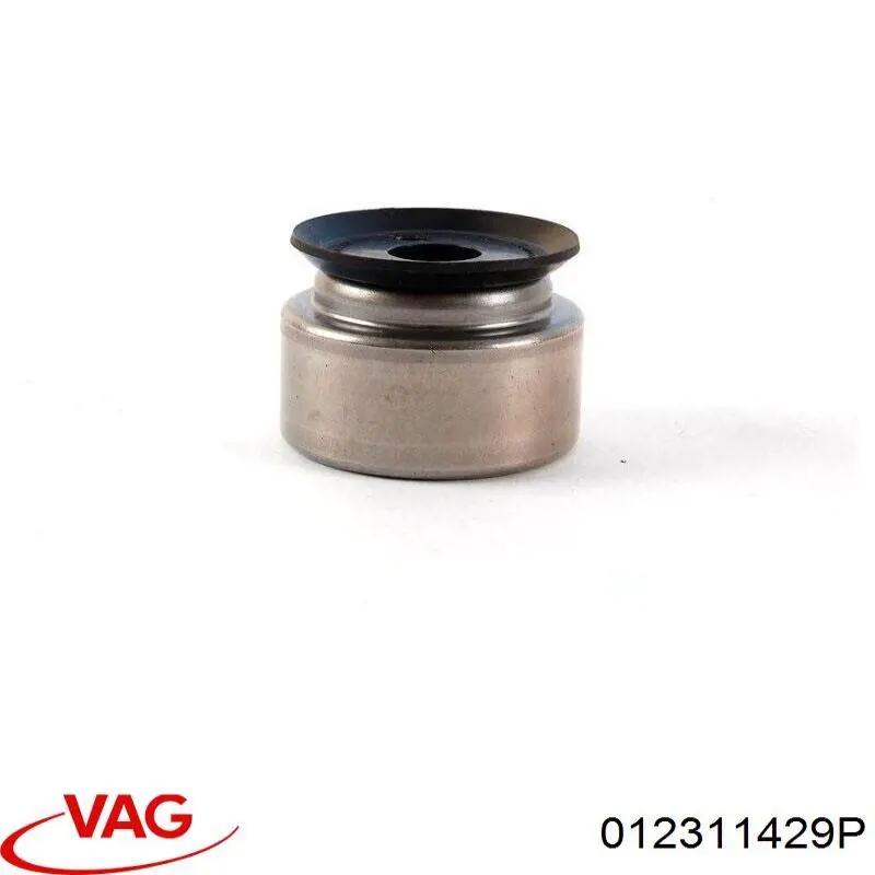 012311429P VAG 