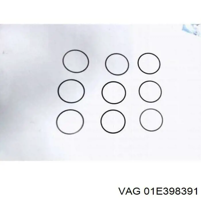 01E398391 VAG 