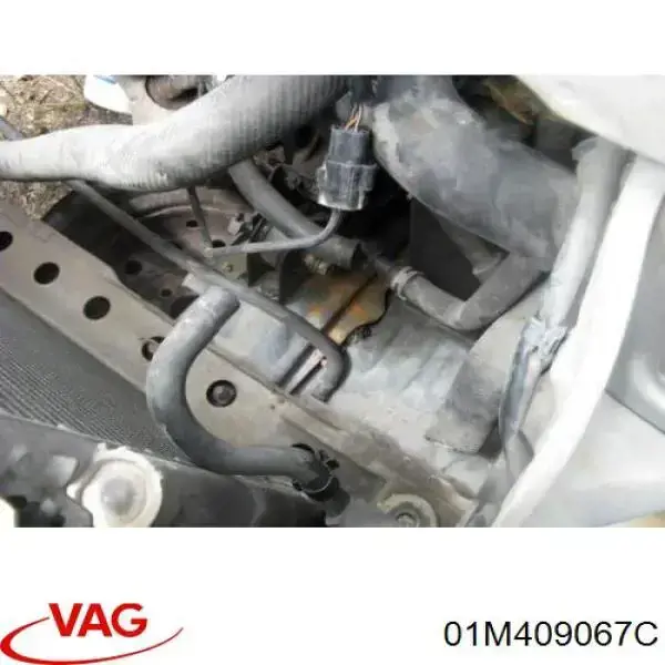 Compre 01M409067C VAG 