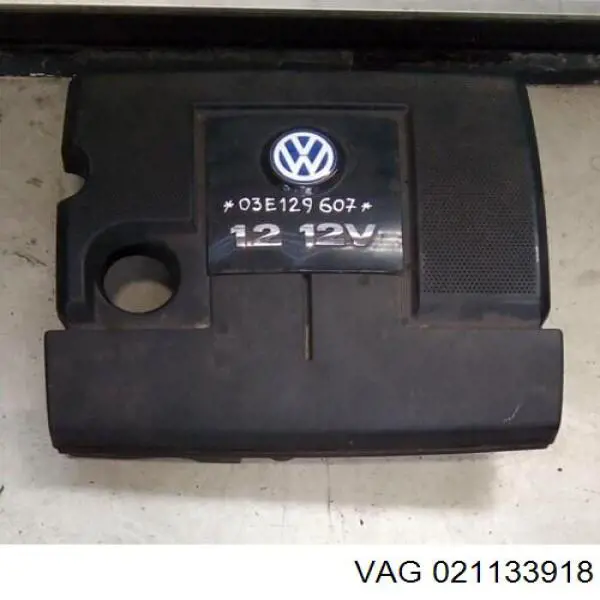 021133918 VAG 