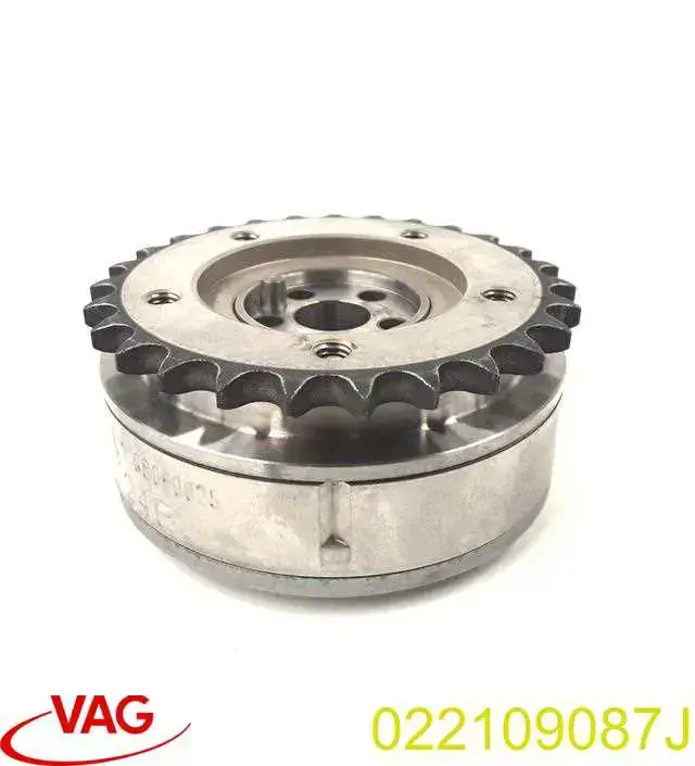 Compre 022109087F VAG Engrenagem de cadeia de roda dentada da árvore distribuidora de admissão de motor