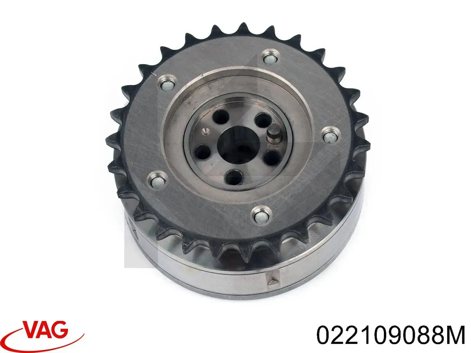 Compre 022109088G VAG Engrenagem de cadeia de roda dentada da árvore distribuidora de escape de motor
