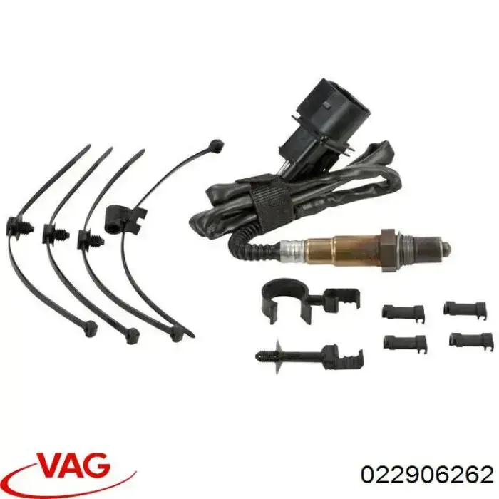 022906262 VAG 