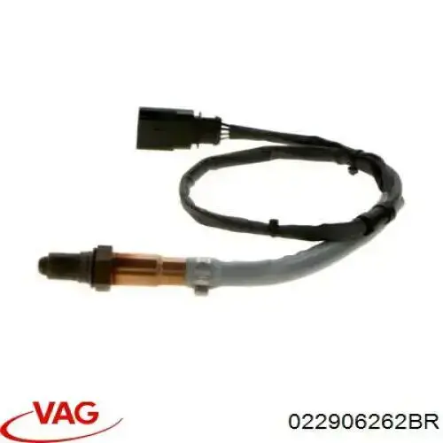 Compre 022906262BR VAG Sonda lambda, sensor direito de oxigênio até o catalisador