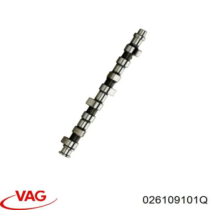 026109101Q VAG Árvore distribuidora de motor