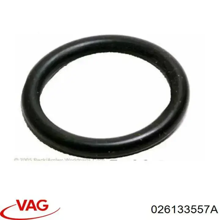 026133557A VAG Anel (arruela) do injetor de ajuste