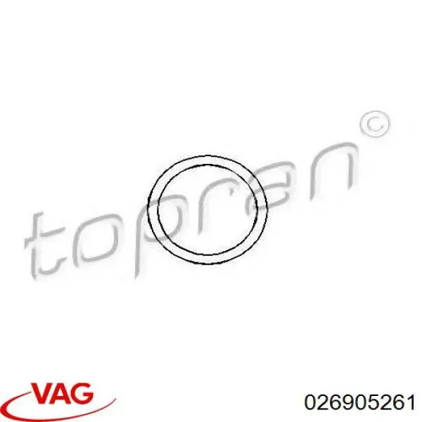 26905261 VAG Vedante anular de distribuidor
