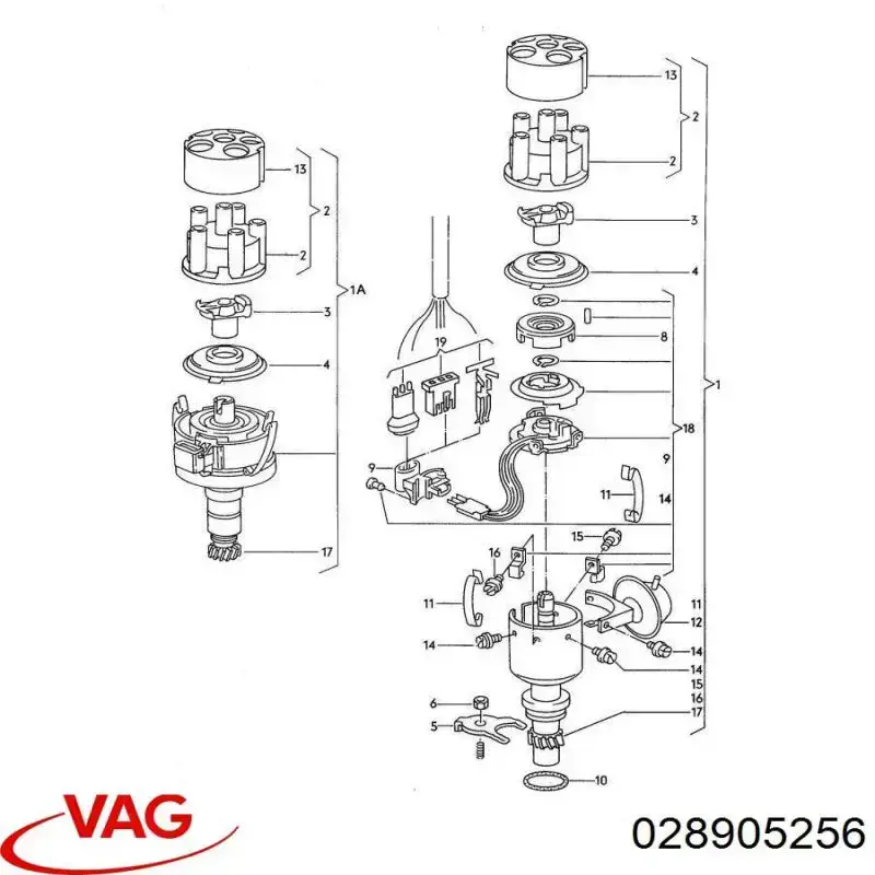 028905256 VAG 