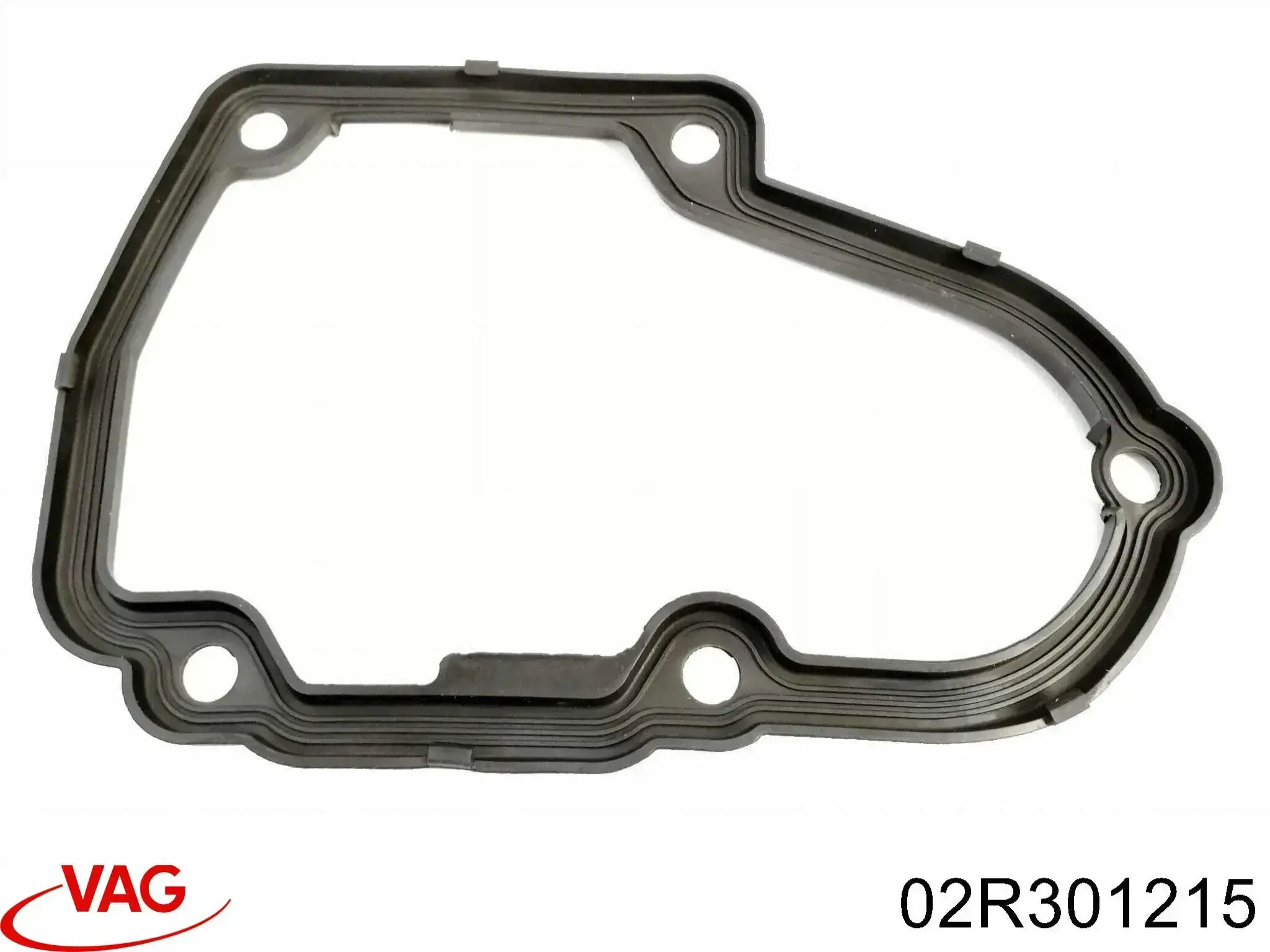 02R301215 VAG 