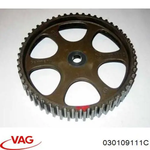 030109111C VAG Engrenagem de cadeia da roda dentada da árvore distribuidora de motor