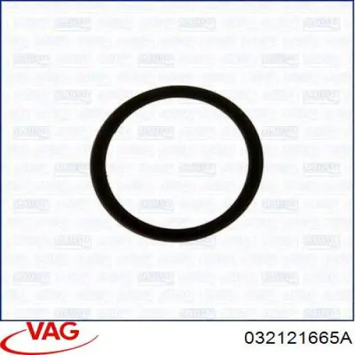 032121665A VAG Vedante de termostato
