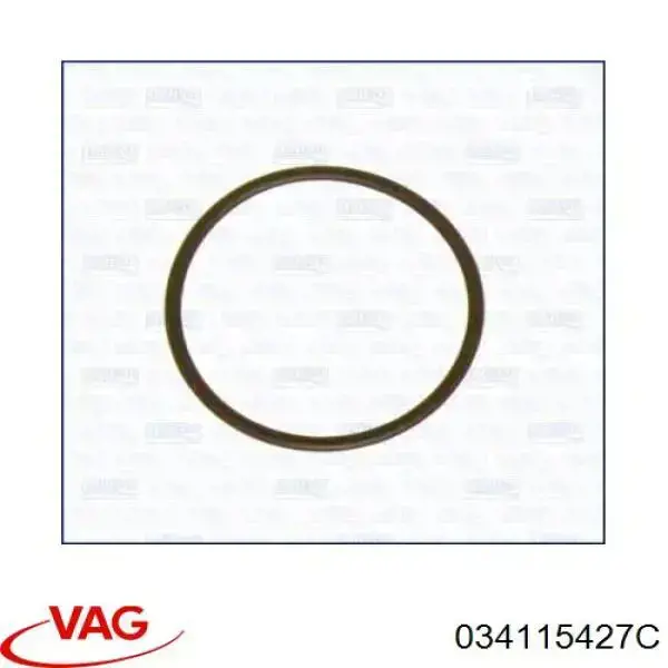 034115427C VAG Vedante de tubo coletor de admissão