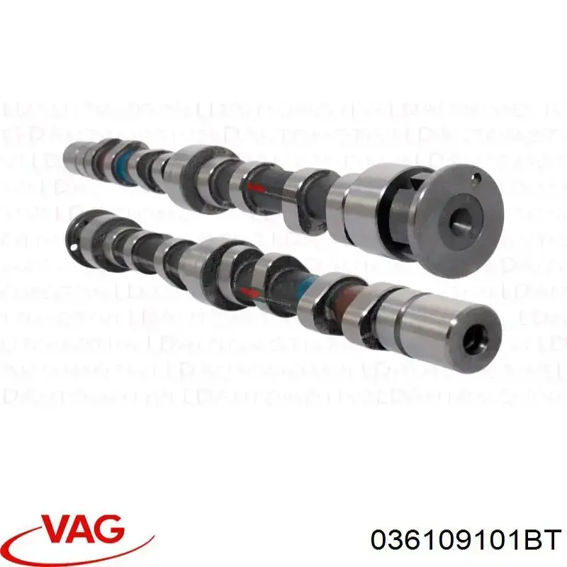 036109101BT VAG Árvore distribuidora de motor