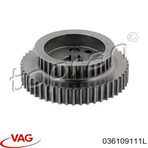 036109111L VAG Engrenagem de cadeia de roda dentada da árvore distribuidora de admissão de motor