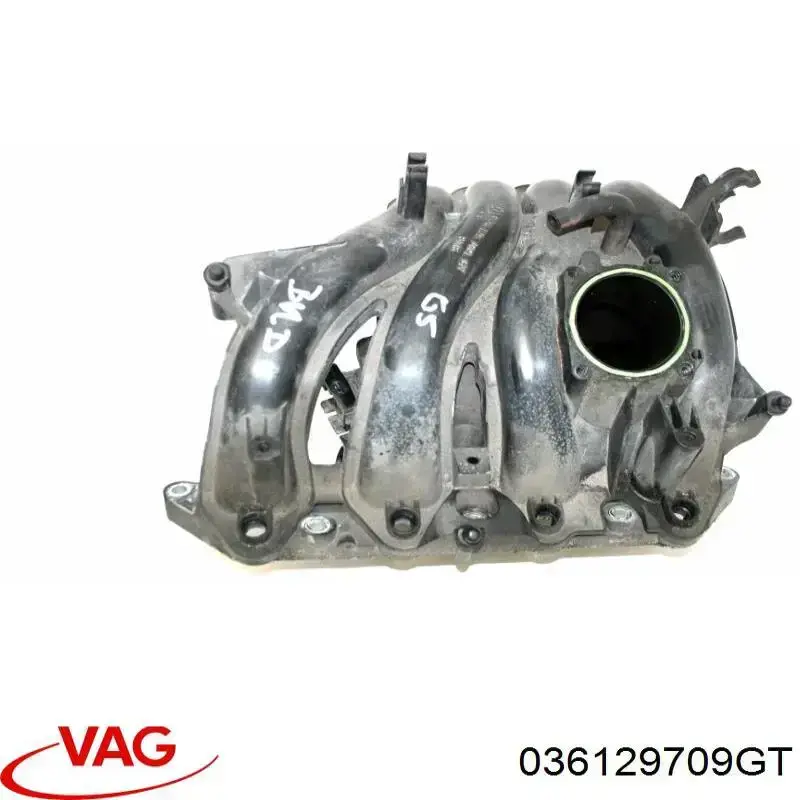 036129709GT VAG Tubo coletor de admissão