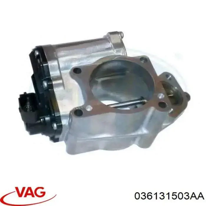 036131503AA VAG Válvula EGR de recirculação dos gases