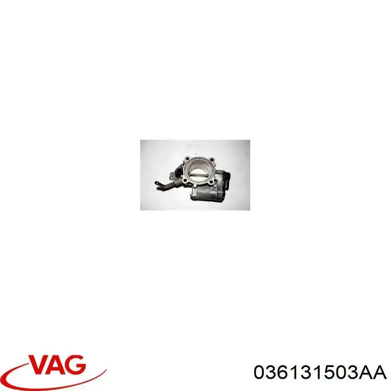 Compre 036131503AA VAG Válvula EGR de recirculação dos gases