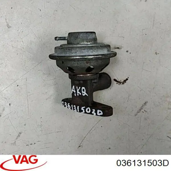 036131503D VAG Válvula EGR de recirculação dos gases