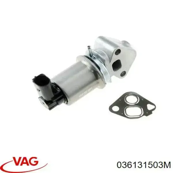 Compre 036131503M VAG Válvula EGR de recirculação dos gases