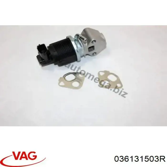 Compre 036131503R VAG Válvula EGR de recirculação dos gases