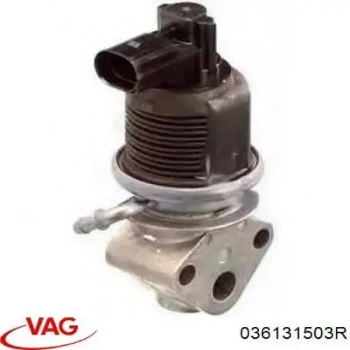 Compre 036131503R VAG Válvula EGR de recirculação dos gases