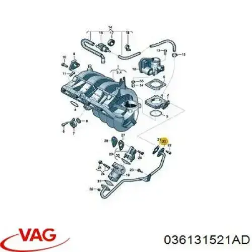 036131521AD VAG 