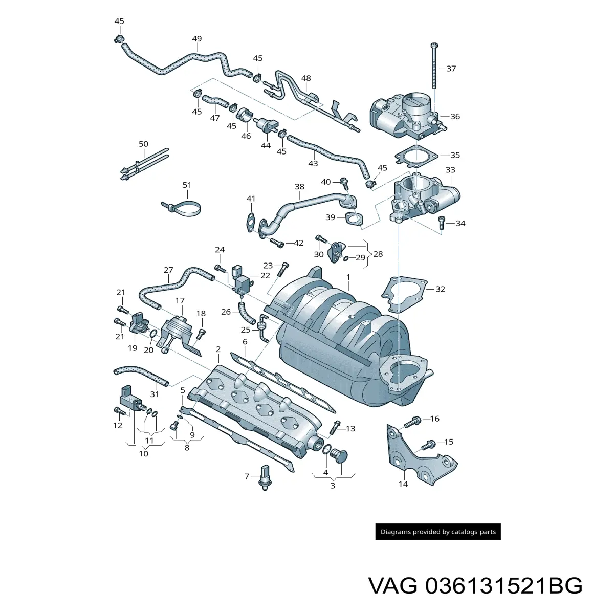 036131521BG VAG 