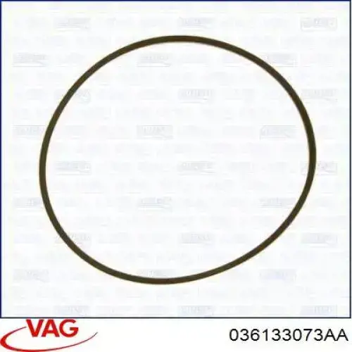 036133073AA VAG Vedante de tubo coletor de admissão