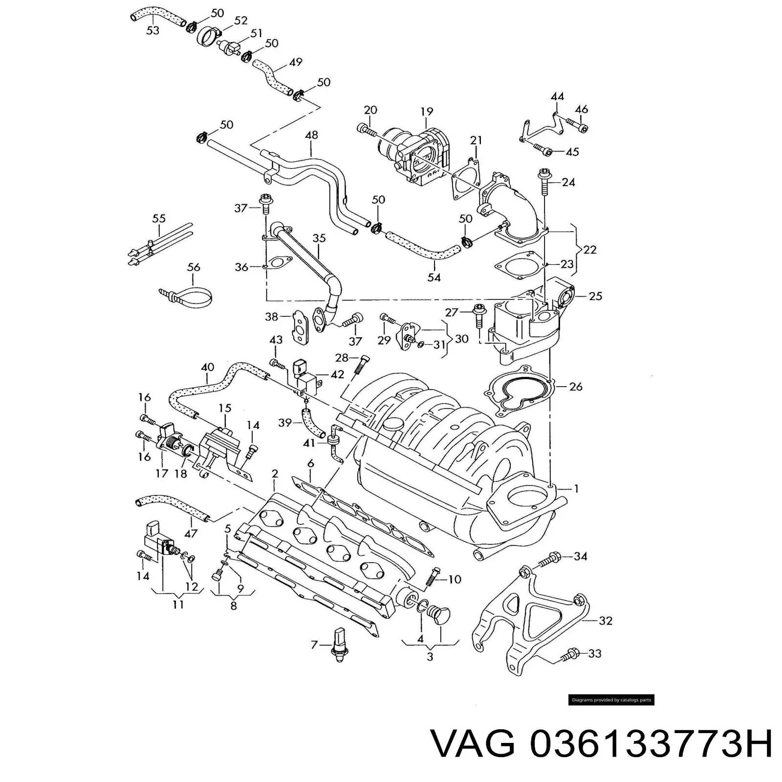 036133773H VAG 