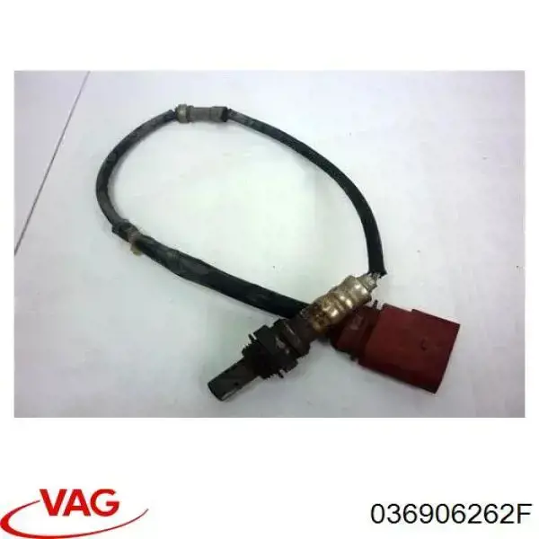 036906262F VAG Sonda lambda, sensor de oxigênio depois de catalisador