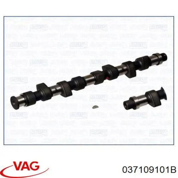 037109101B VAG Árvore distribuidora de motor