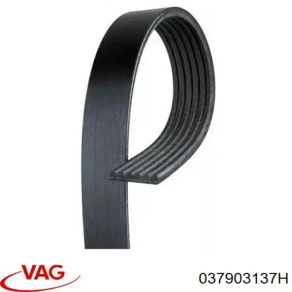 Compre 037903137H VAG Correia dos conjuntos de transmissão