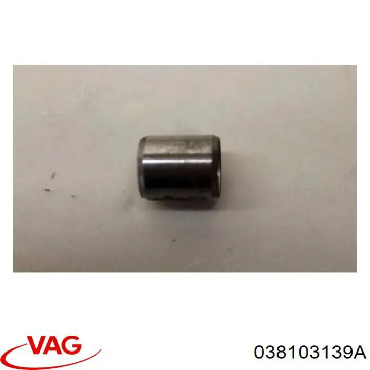 038103139A VAG 