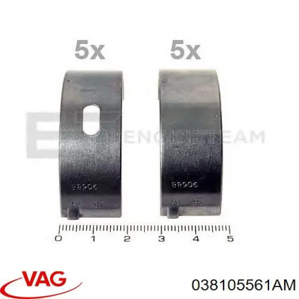 038105561AM VAG Folhas inseridas principais de cambota, kit, padrão (STD)